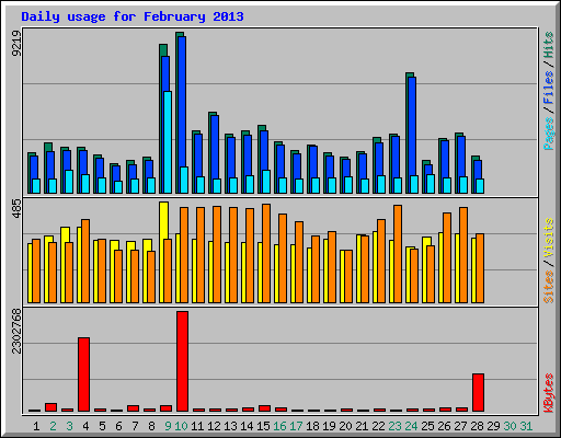 Daily usage for February 2013