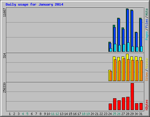 Daily usage for January 2014