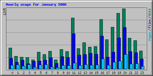 Hourly usage for January 2006