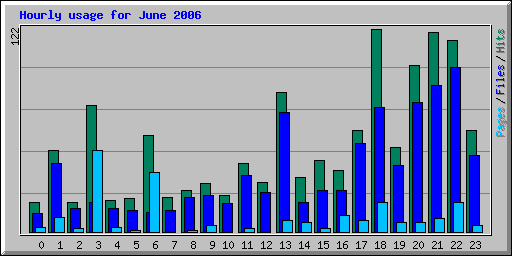 Hourly usage for June 2006