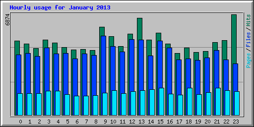 Hourly usage for January 2013