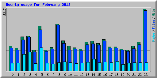 Hourly usage for February 2013