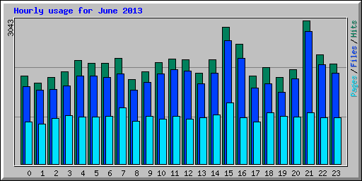 Hourly usage for June 2013