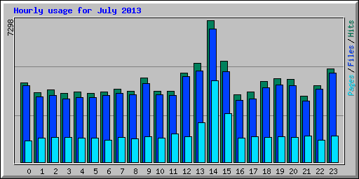 Hourly usage for July 2013